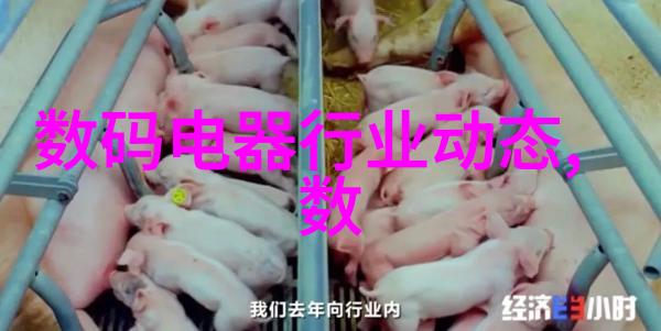 上海沛欧红外石英消化炉 定氮仪 定氮仪厂家