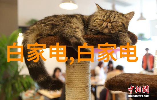 科建双轴粉尘加湿机 不锈钢材质 粉尘加湿机