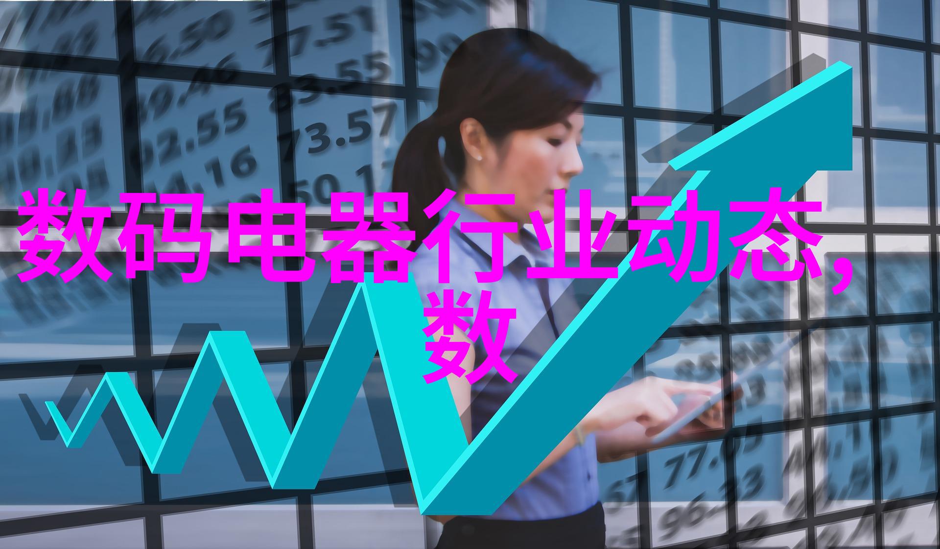 重庆诺冠电磁阀norgren电磁阀 烫碳罐电磁阀
