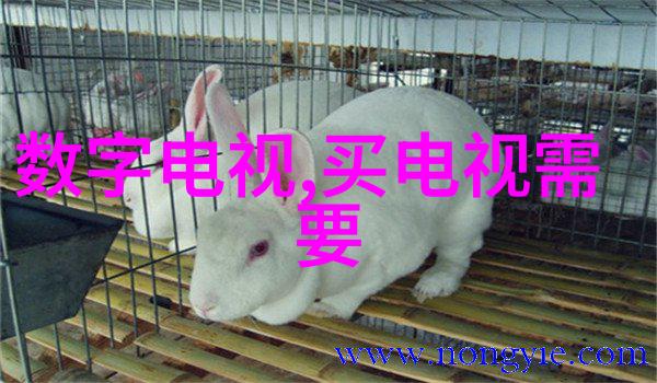 真空压力泄放阀储罐呼吸阀紧急泄压人孔