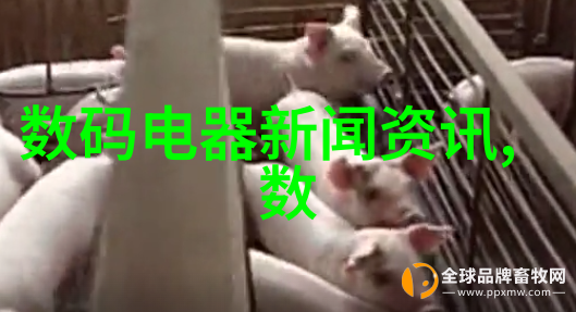 卫生级弯头管件温州浩源科技有限公司供应 卫生级管件标准