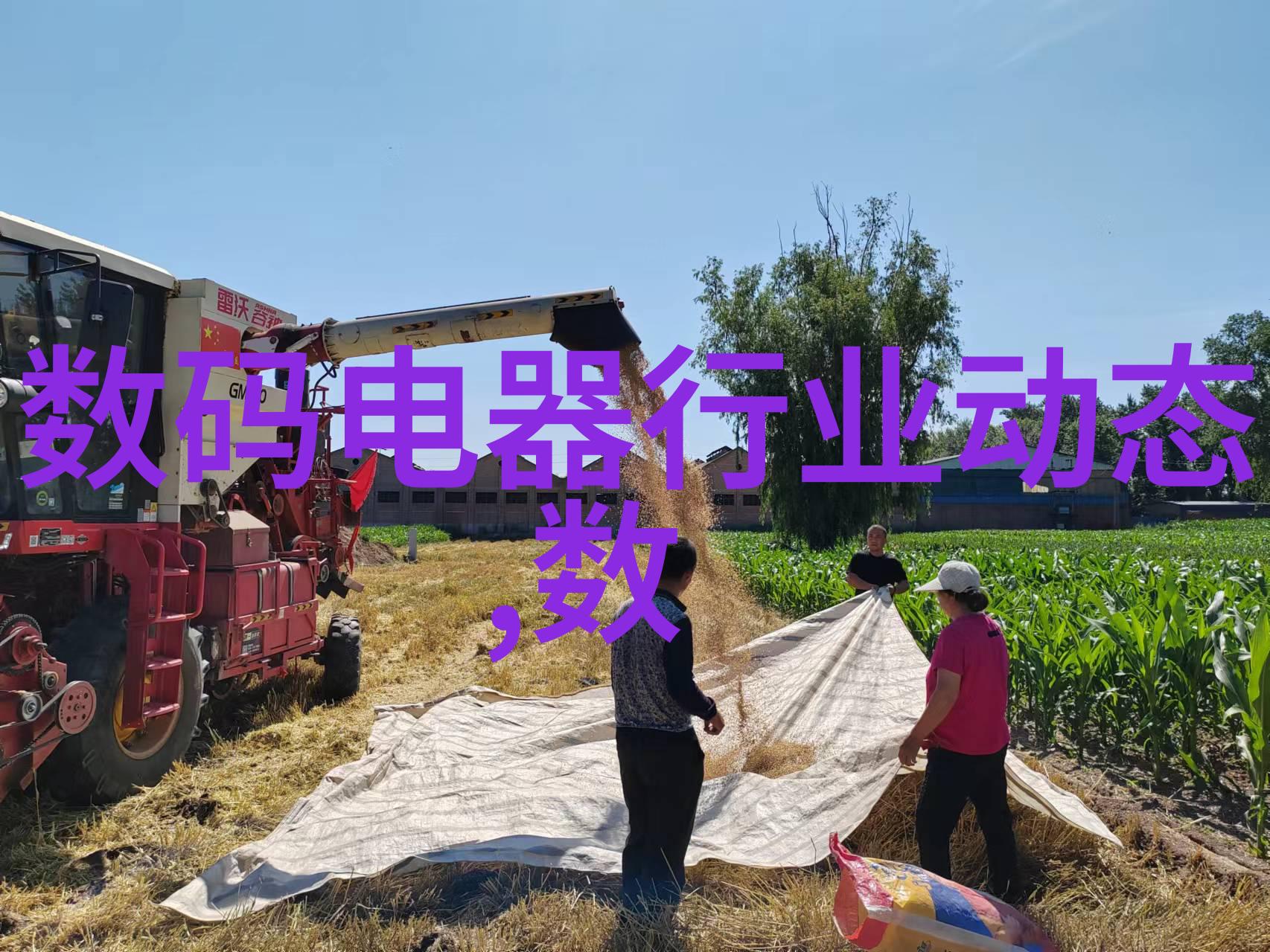 全自动消化炉 定氮仪 全自动定氮仪