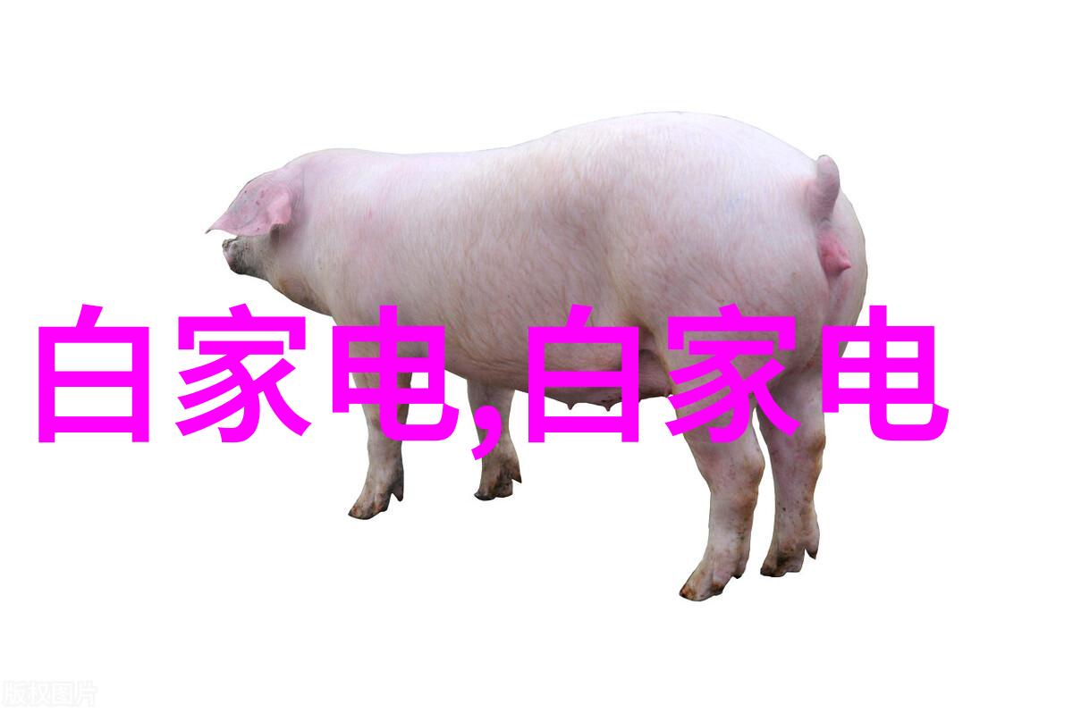上海沛欧全自动定氮仪 凯氏定氮仪价钱